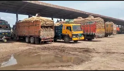 Jyoti International